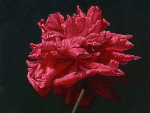 300989 (a): :1600x1200